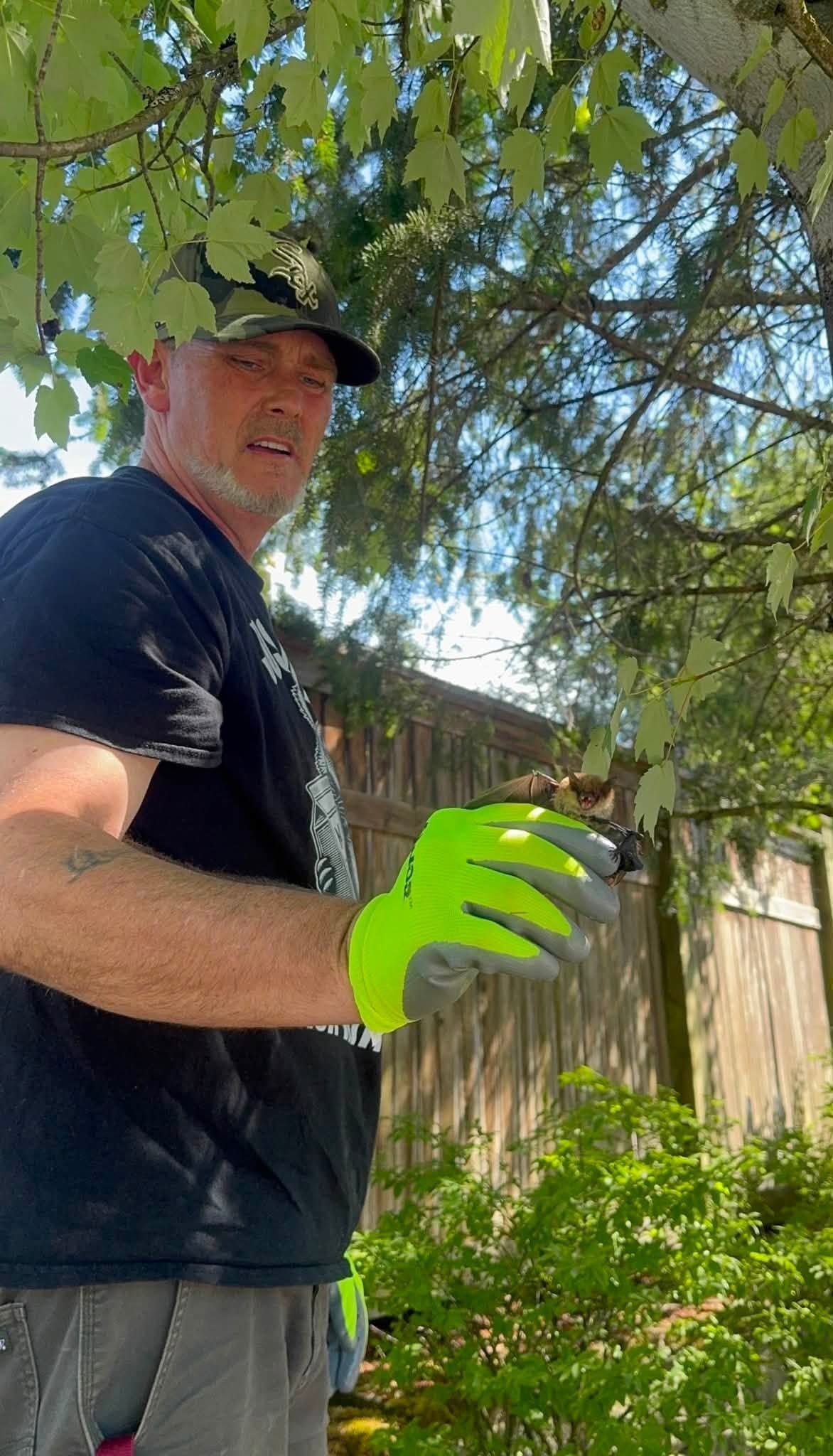 Person in a black shirt and neon green glove standing by a wooden fence under trees outdoors.
