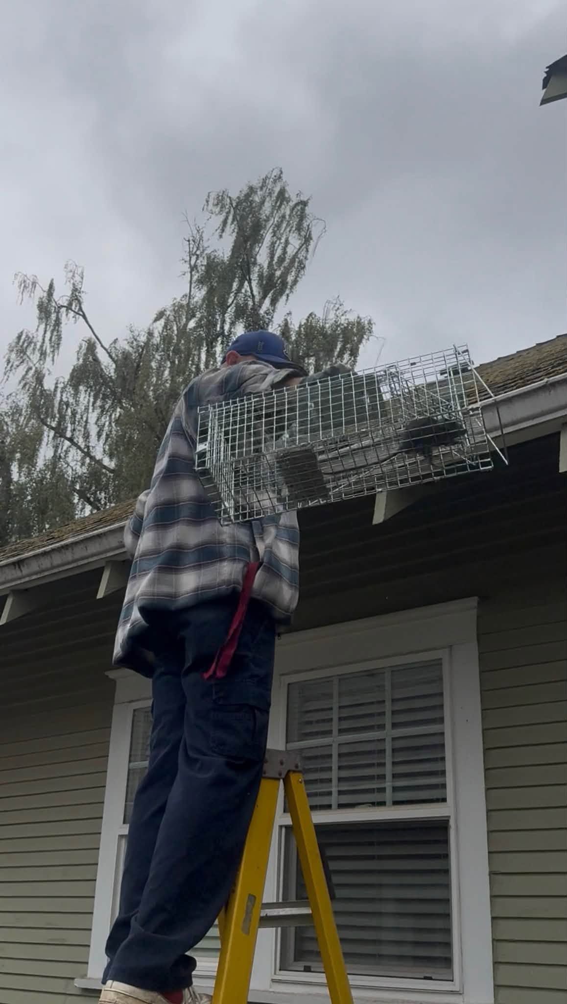 Person on a yellow ladder cleaning a roof gutter beside a house under a cloudy sky