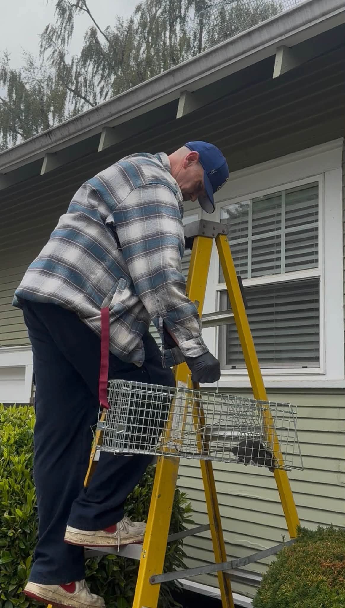 Person on a yellow ladder cleaning a house exterior near a window and roofline