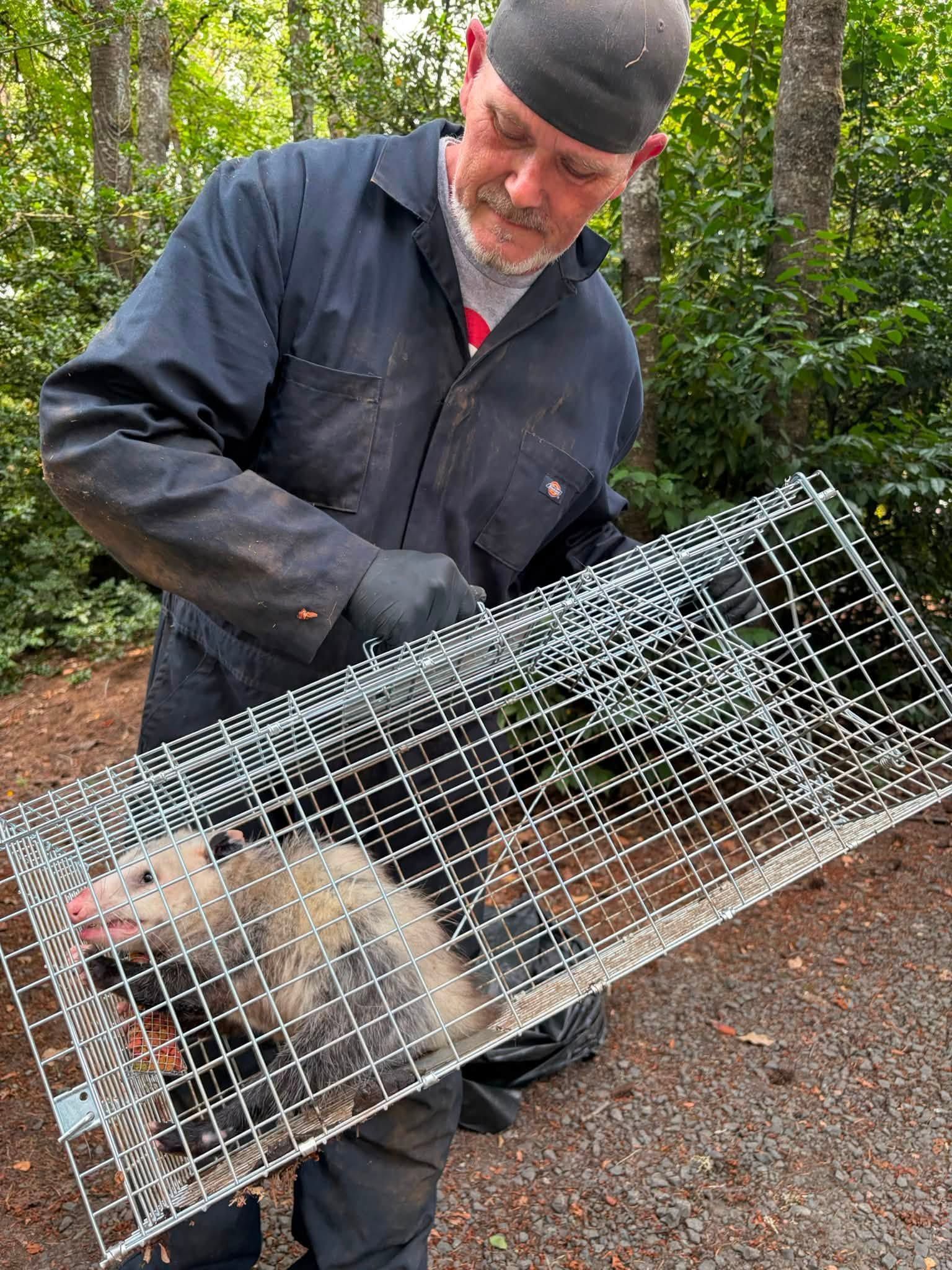 Man in a black jacket holding a wire live trap with a small animal inside in a wooded area