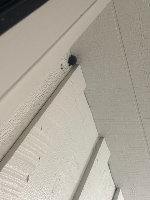 Close-up of a white painted corner with a small black insect on the wall trim