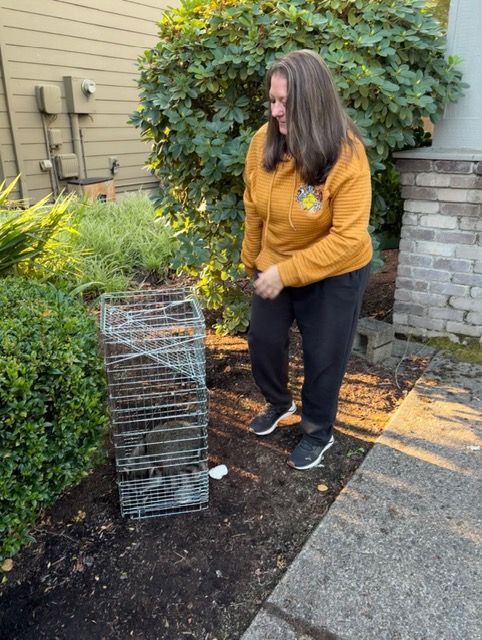 Woman standing beside a wire cage in a backyard, looking down at a small animal trap.