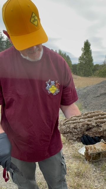 Person in yellow cap and maroon shirt outdoors beside a log, looking down.