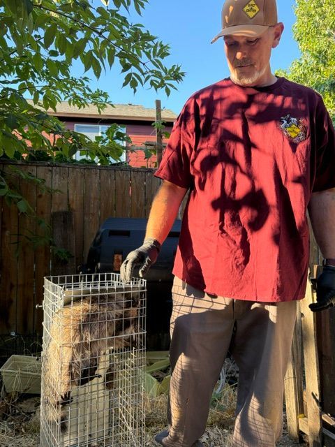 Man standing beside a wire crate with a dog outdoors, wearing a red shirt and gloves, in a sunny backyard