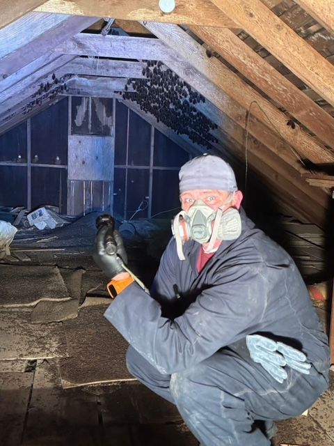 Person crouches in an attic wearing a respirator and gloves, inspecting insulation near exposed roof beams.