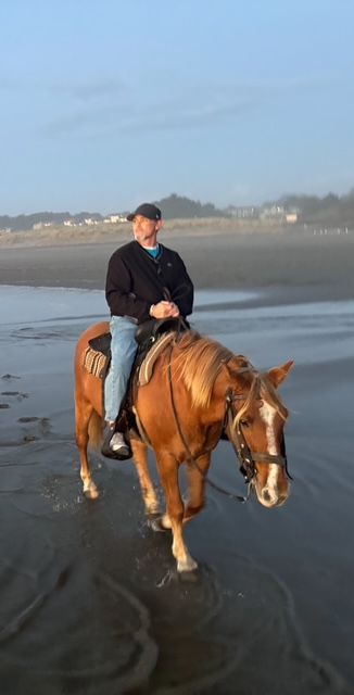 Person riding a brown horse on a wet beach at low tide