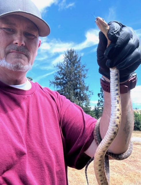 Man holding a small snake outdoors against a blue sky and trees