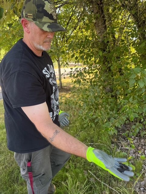 Person in camo cap and neon gloves reaching toward plants in a wooded area.