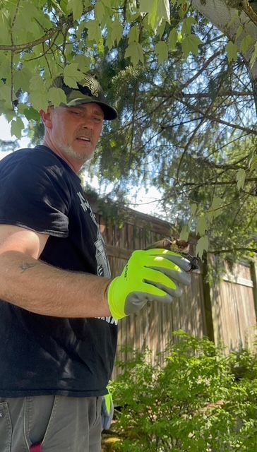 Person in neon green gloves standing by a wooden fence under tree branches outdoors.