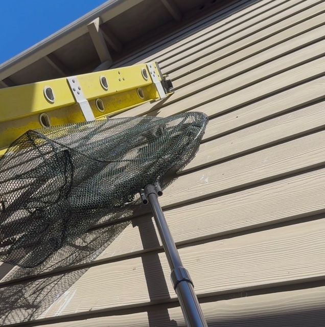 Yellow ladder leaning against house siding beside a netted pole