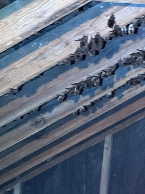 Icicles hanging from the edge of a corrugated roof in winter light