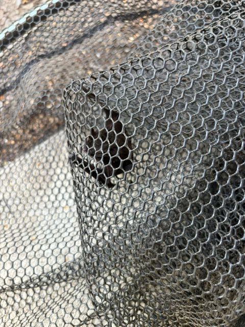 Close-up of a black cat behind a gray mesh fence, peeking through an opening
