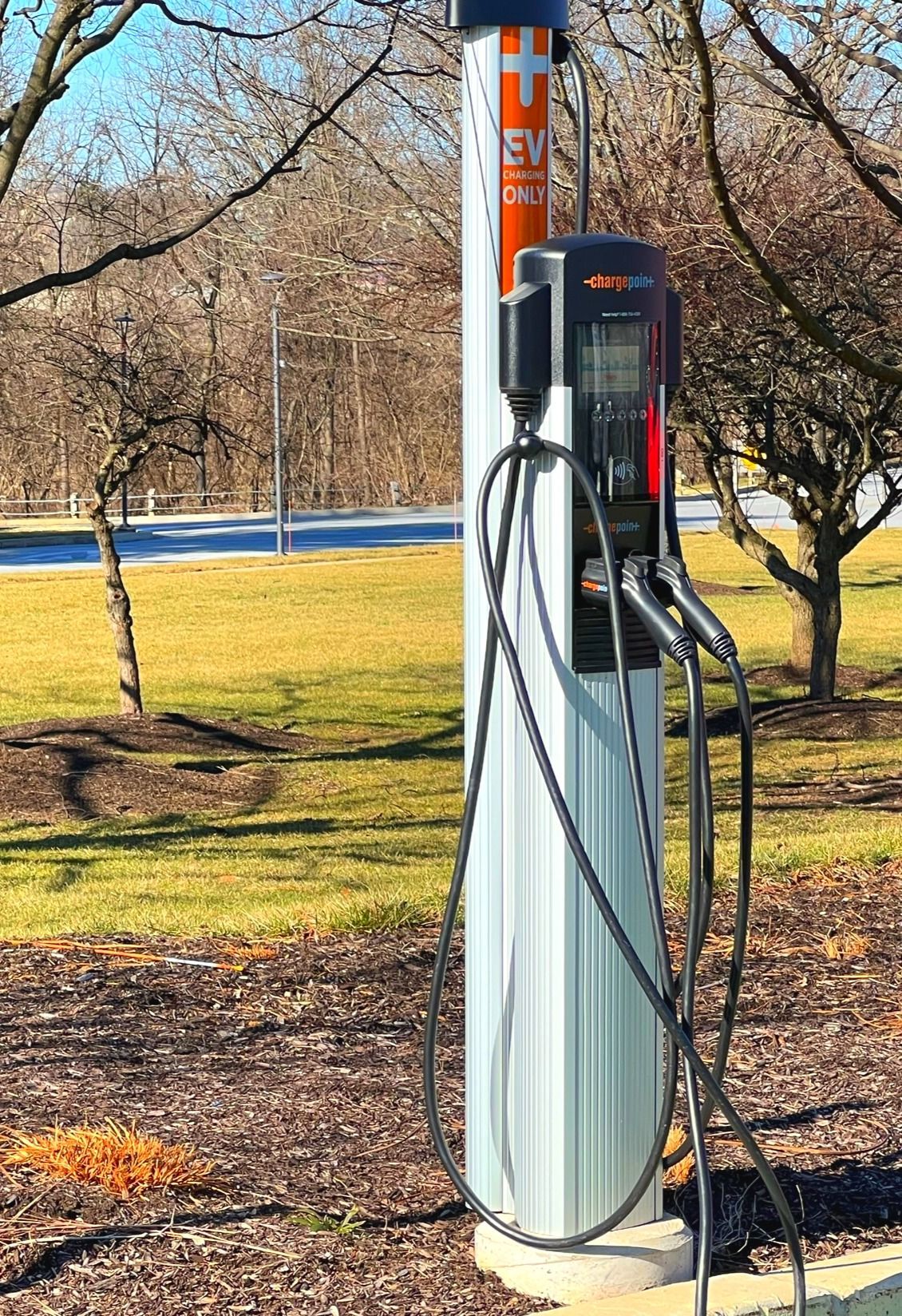Outdoor EV charging station beside a road, with a white-and-orange charging post and cable on a grassy park edge