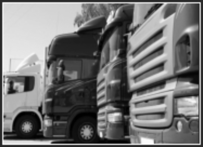 Parked cargo trucks lined up in a lot, with a large truck dominating the foreground.