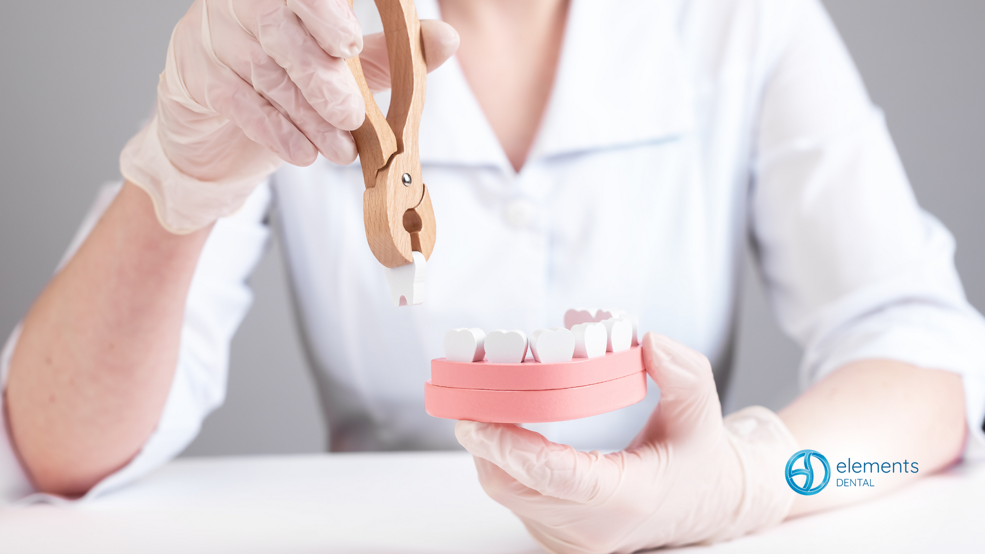 A dentist is holding a model of teeth in her hands.