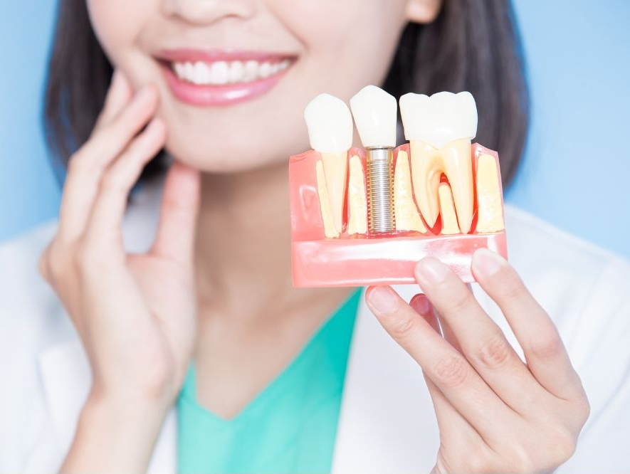 Dentist holding dental implant model beside smiling woman in clinic