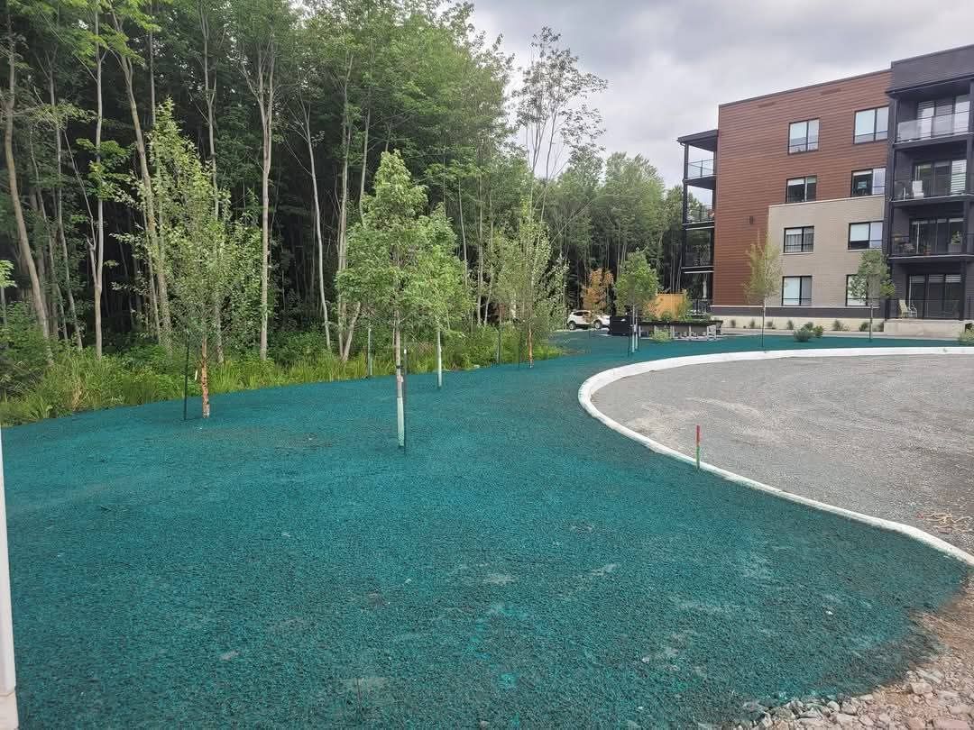 Zone de gazon vert avec de jeunes arbres à côté du bâtiment et une zone de gravier.