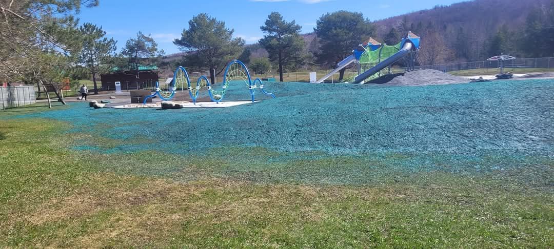 Zone de gazon vert avec de jeunes arbres à côté du bâtiment et une zone de gravier.