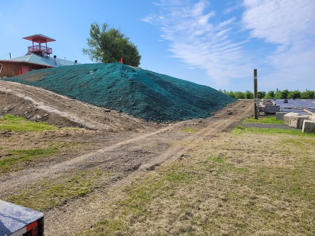 Zone de gazon vert avec de jeunes arbres à côté du bâtiment et une zone de gravier.