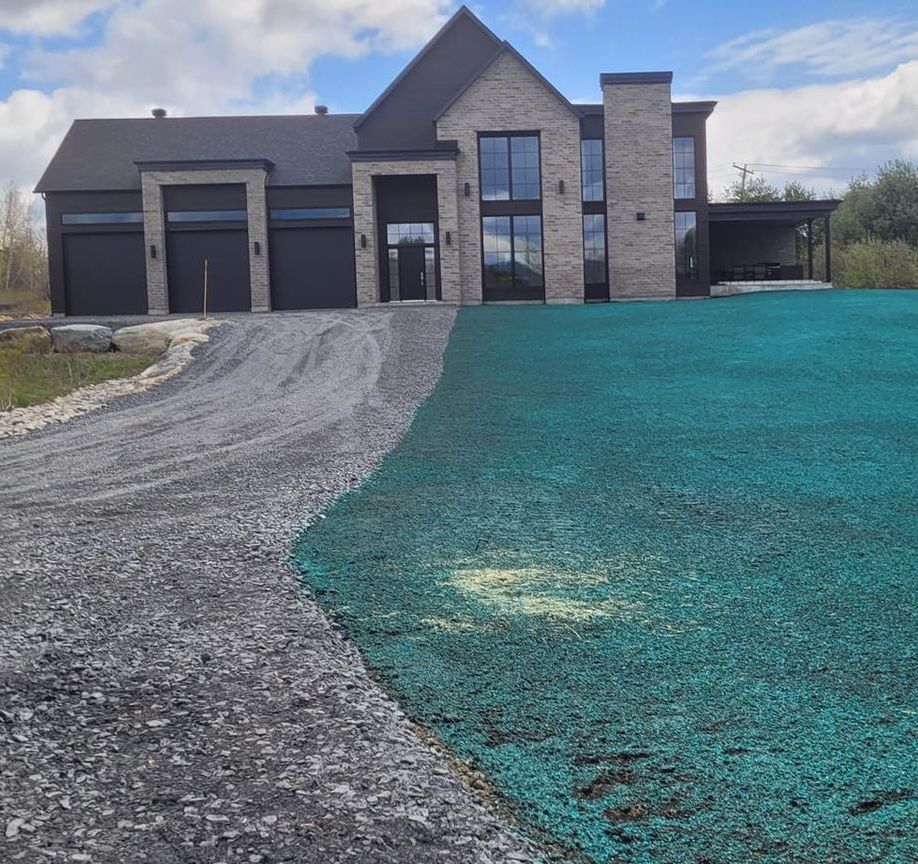 Zone de gazon vert avec de jeunes arbres à côté du bâtiment et une zone de gravier.