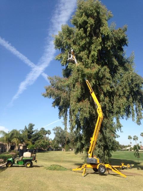 We go to great heights to take care of our clients!
