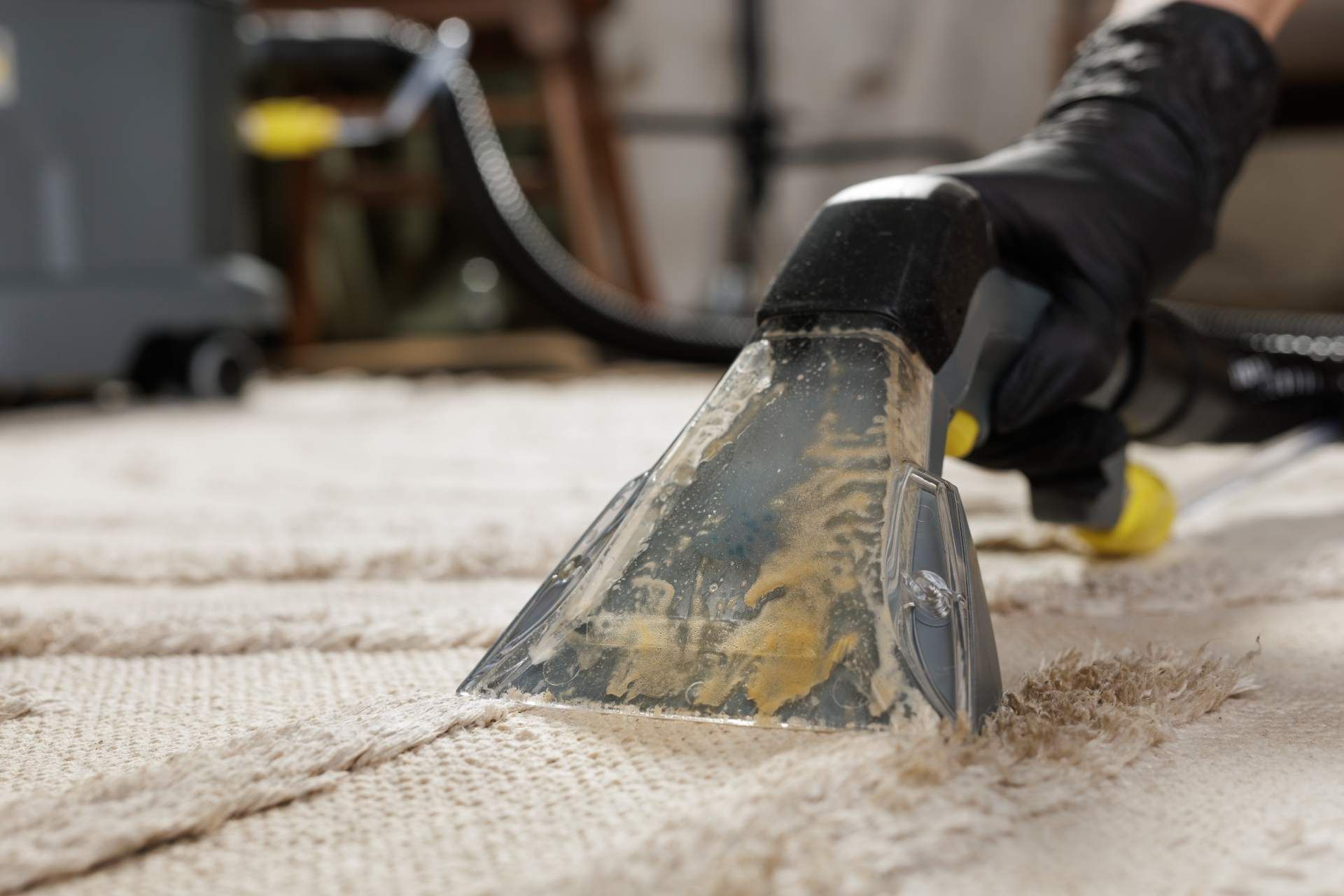 A gloved hand uses a carpet cleaning machine to remove dirt from a light-colored rug.