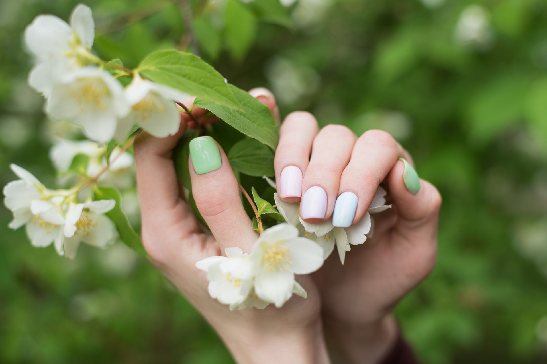 Hands with pastel-colored nails holding white flowers against a green, blurred background.