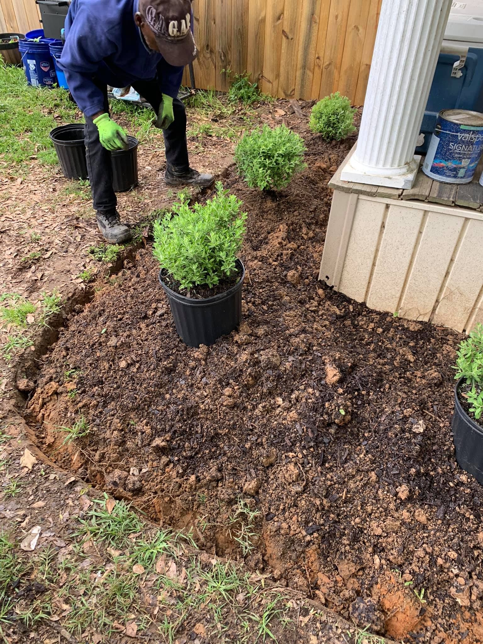 A man is planting plants in a garden.