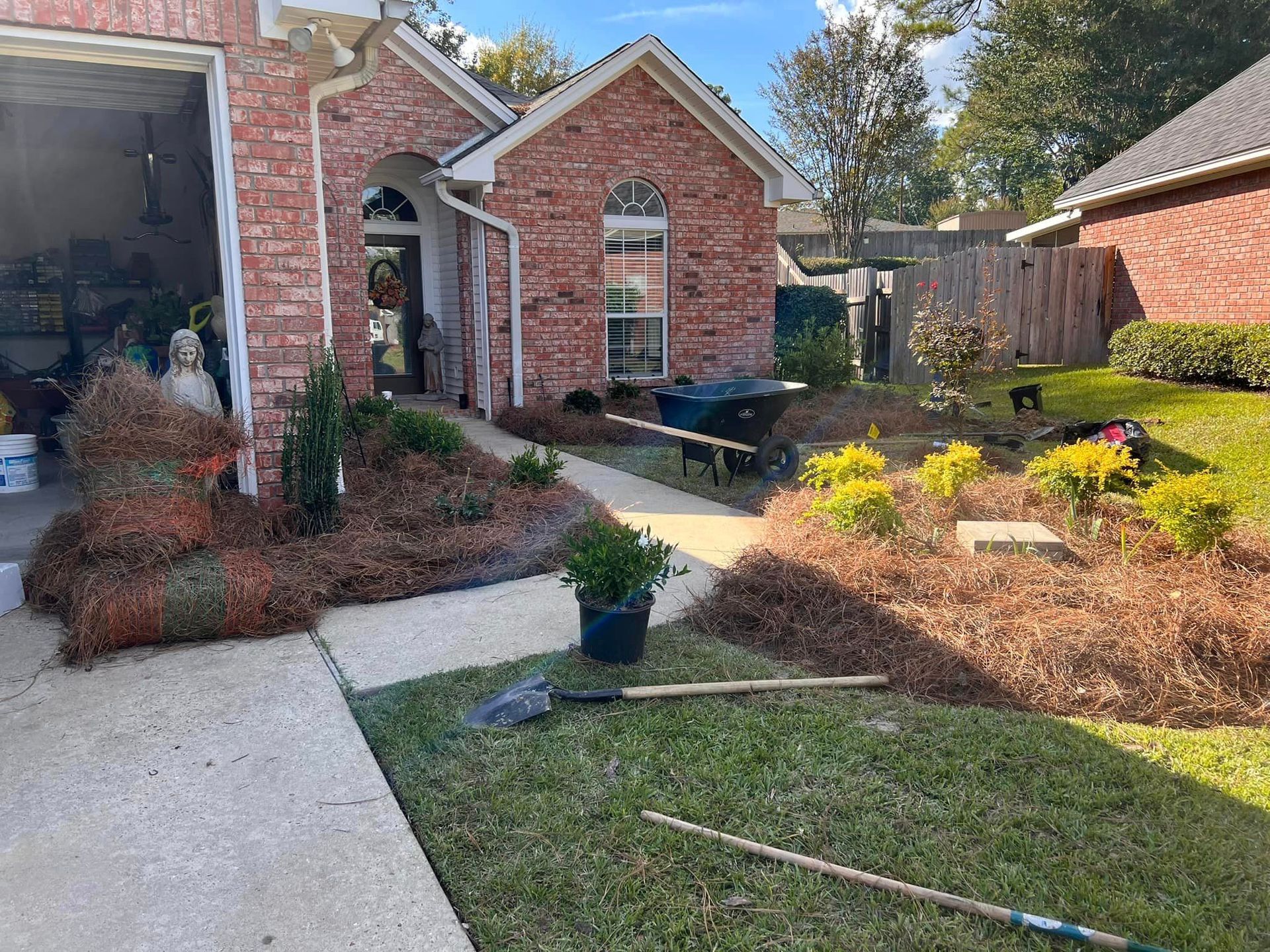 unattended yard with dead plants
