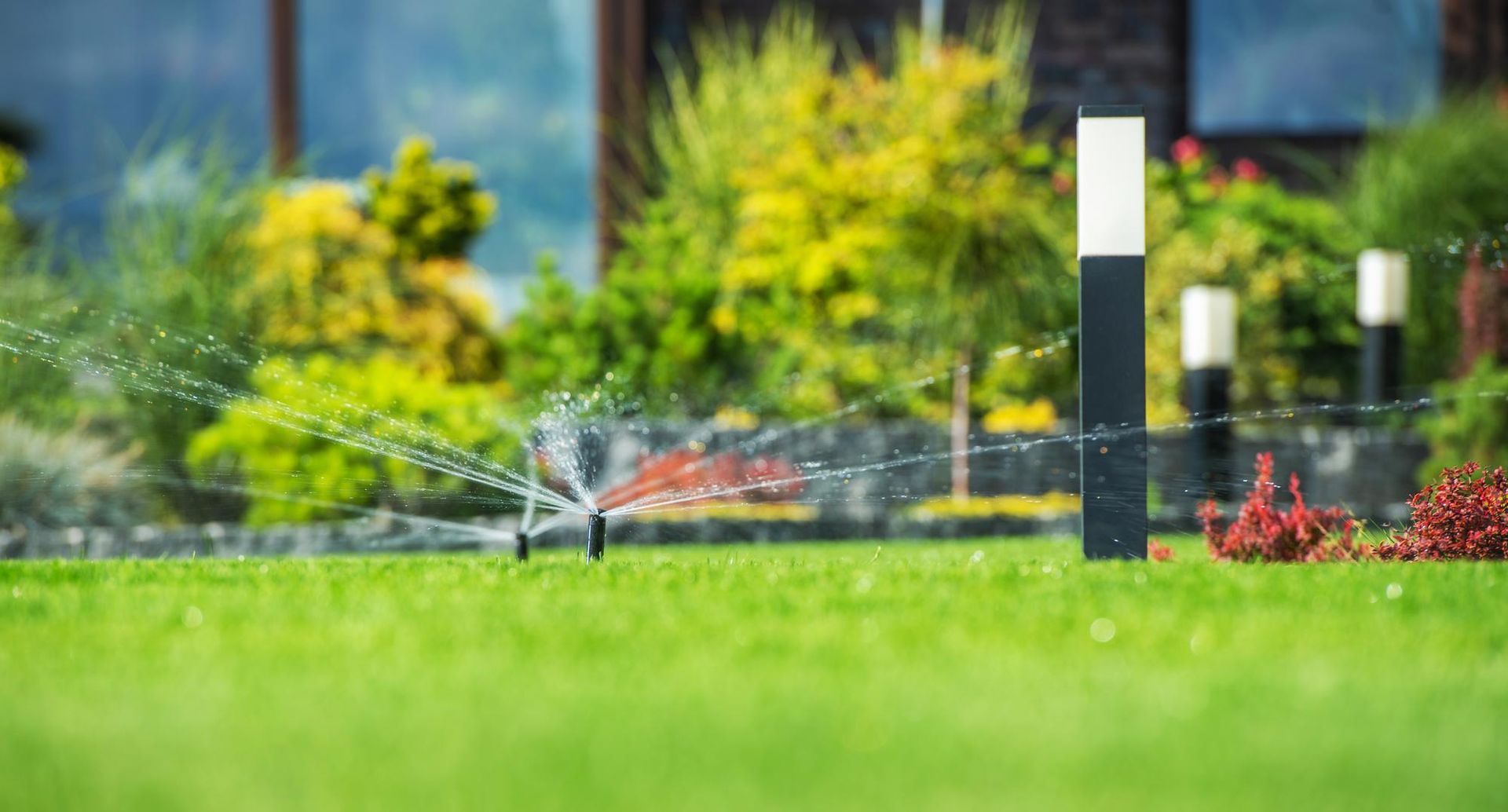 automatic lawn sprinkler backyard in a garden