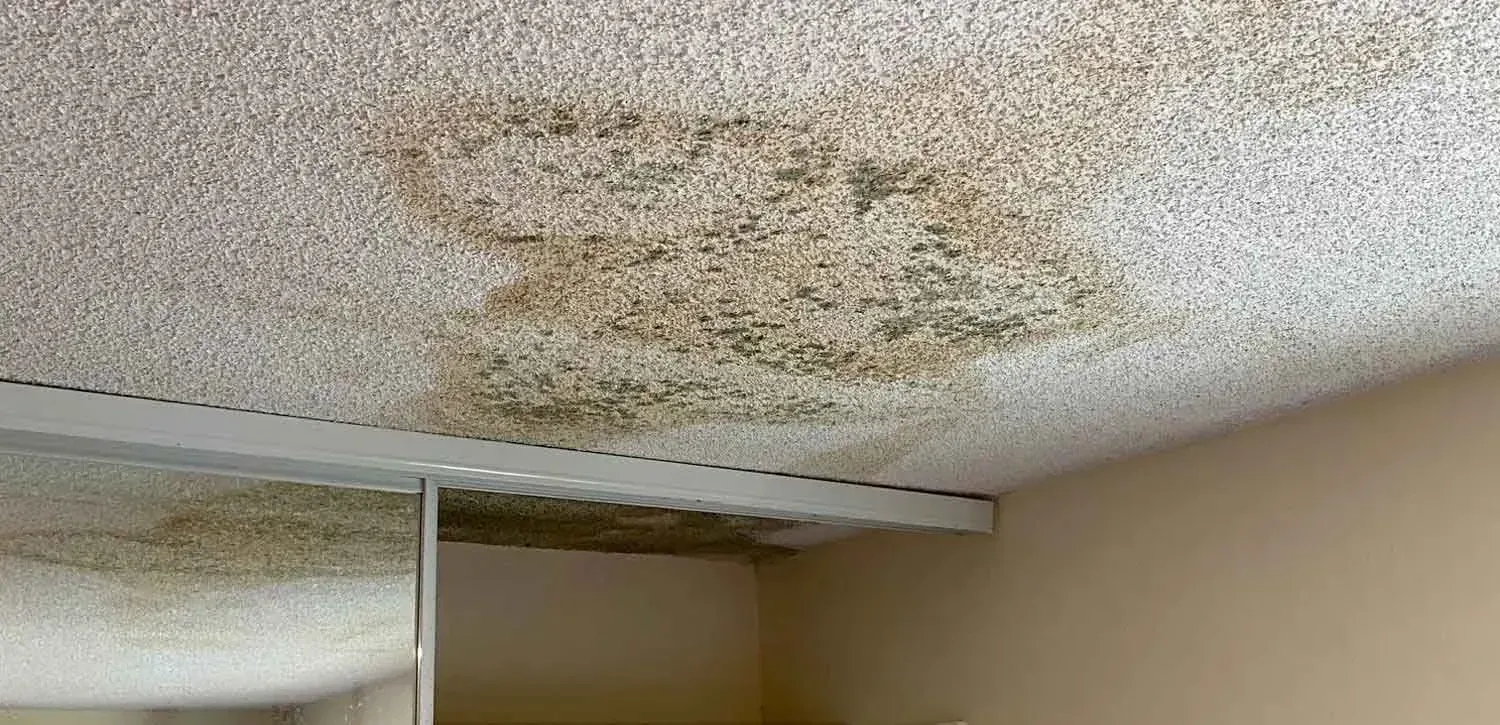 Water-stained ceiling near a vent, with brown mold-like discoloration in a beige room.
