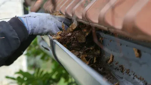 A person is cleaning a gutter from leaves on a roof.