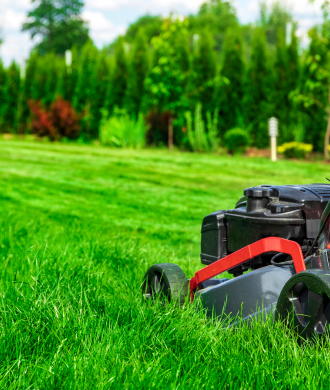 Red lawn mower cutting bright green grass in a sunny yard