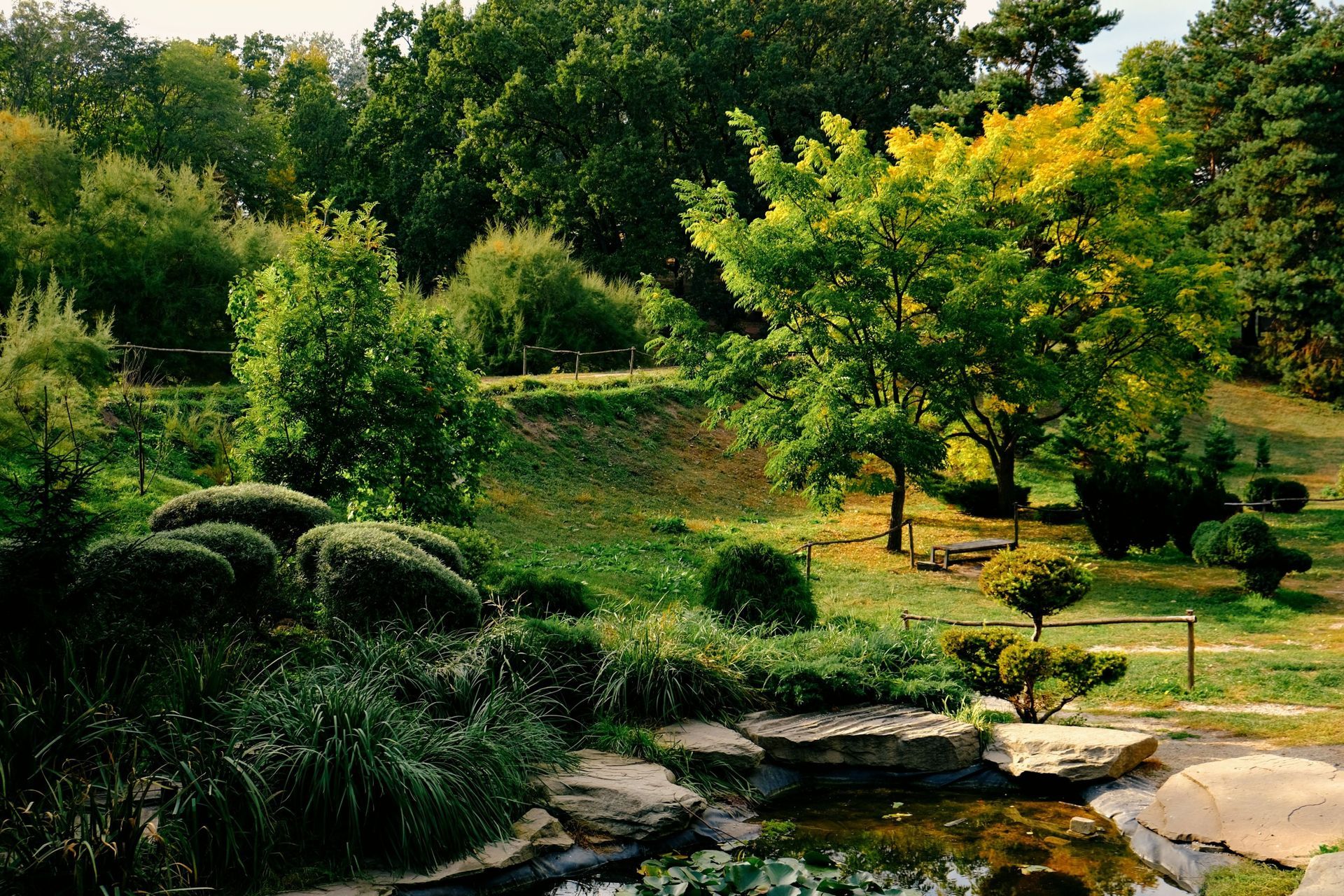 Lush garden with green shrubs, yellow-leaved trees, and a stone-lined pond in the foreground