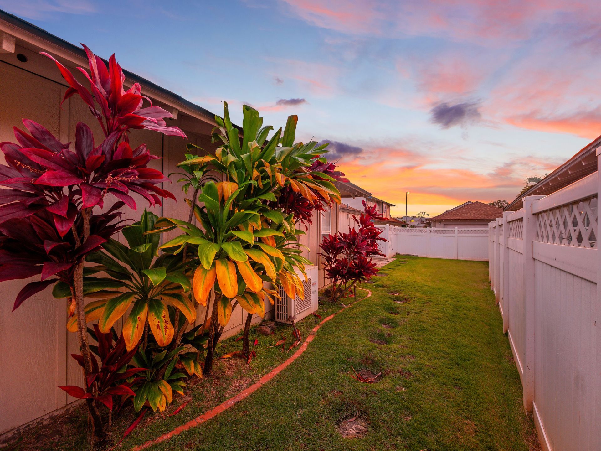 Colorful tropical plants line a narrow grassy side yard beside white fences at sunset