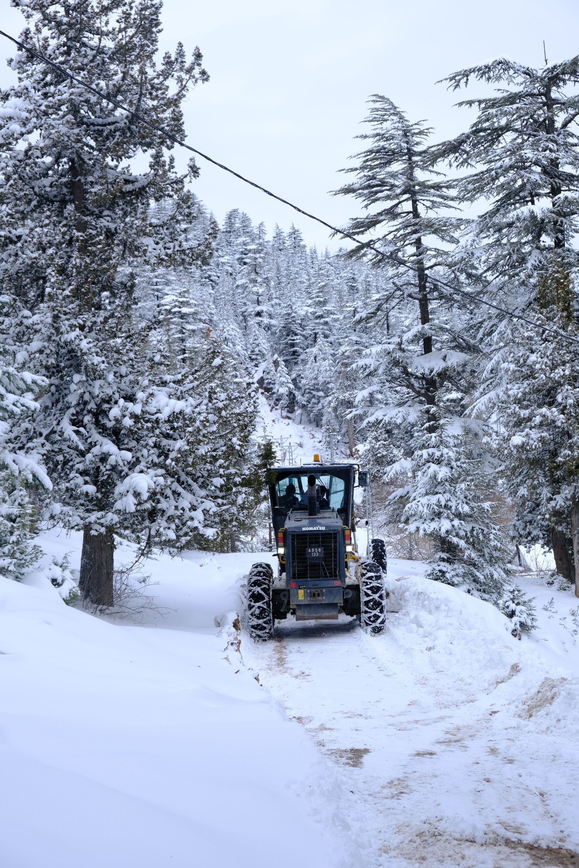 Snow-covered forestry machine on a forest path surrounded by tall trees