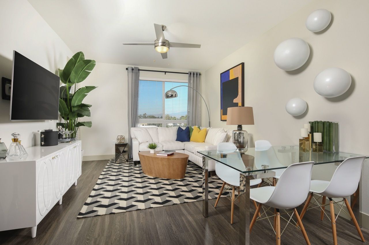 Bright modern living room with white sofa, glass dining table, rug, and large plant.