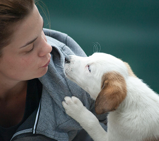 Woman leans in to kiss a white and brown puppy, both with closed eyes at Fusion Apartments in Irvine CA.