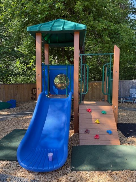 Playground structure with a blue slide, climbing wall, and green roof in a wooded area.