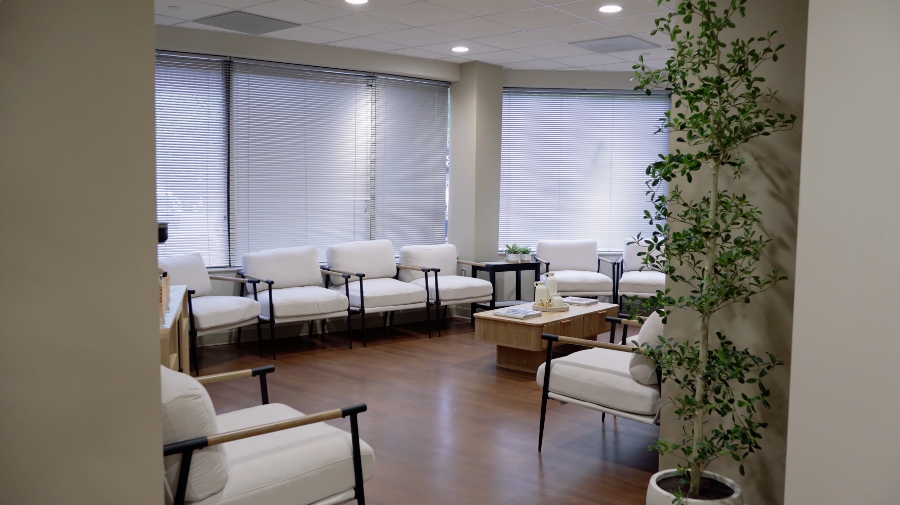 Bright waiting room with white chairs, wooden floors, large windows, and a potted plant