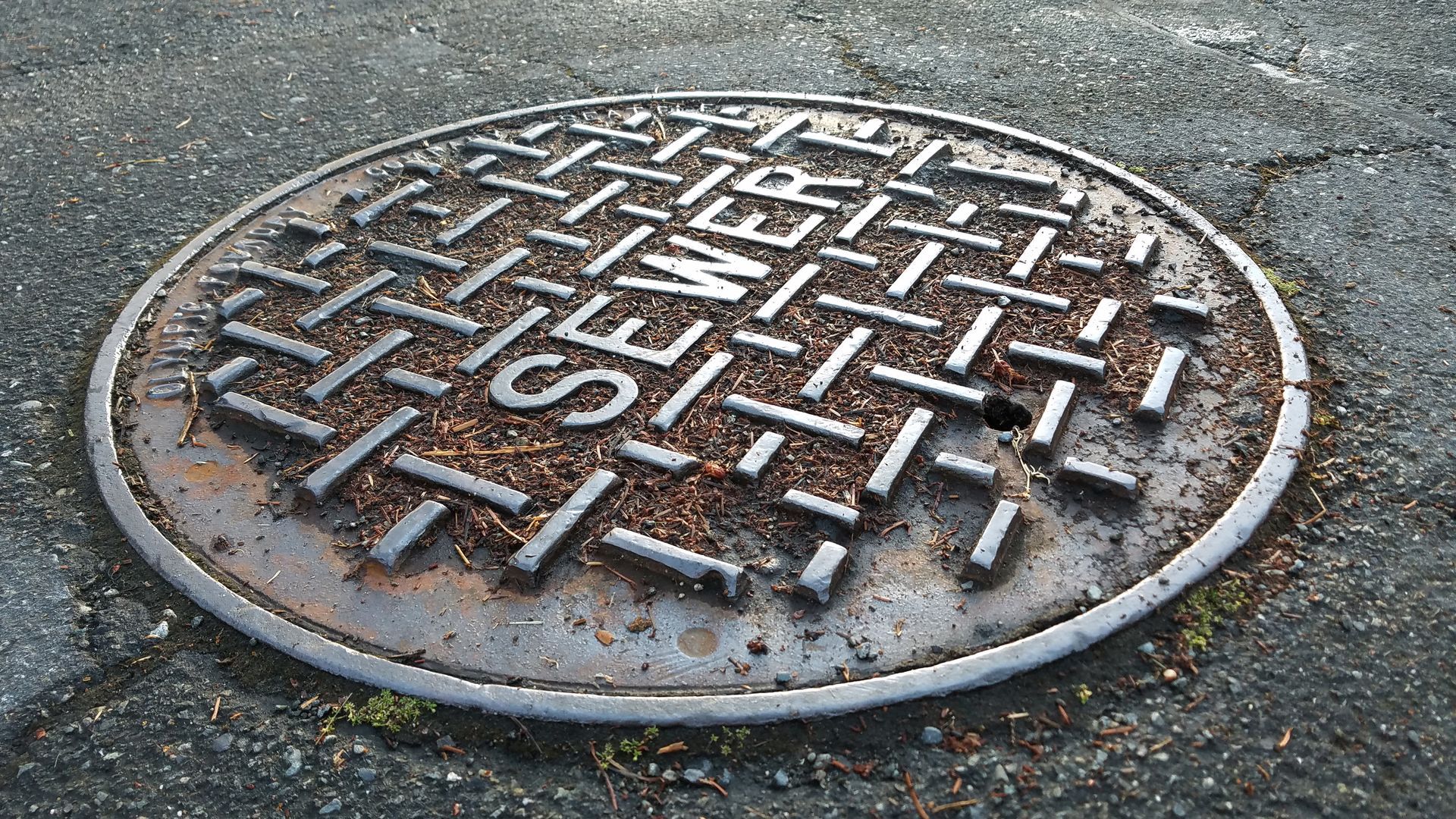 Sewer metal cap on the road after rain in close up