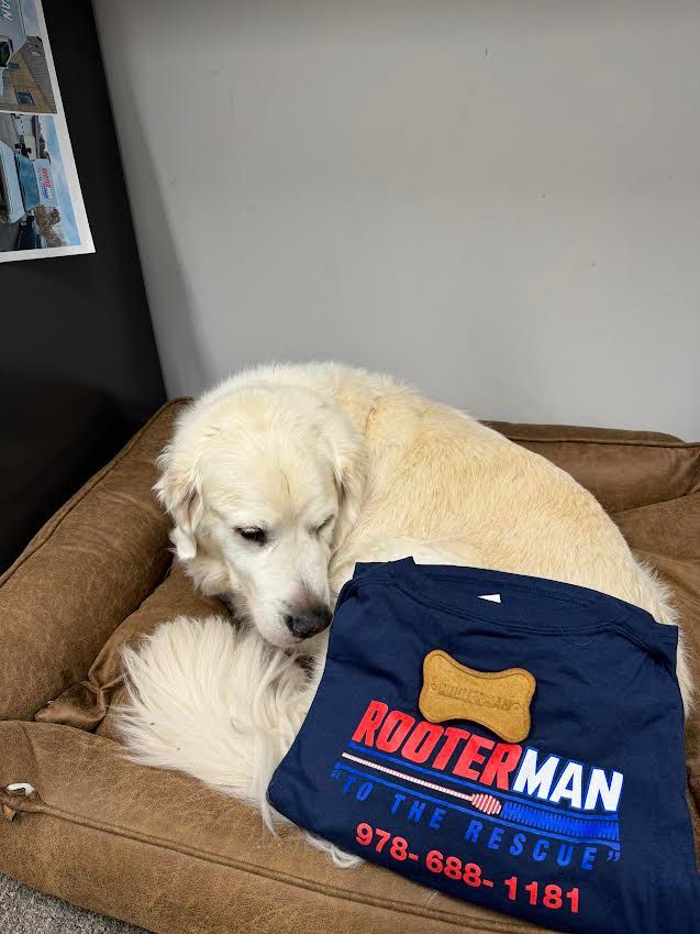 Cream-colored dog curled in a brown bed beside a navy T-shirt with red text.
