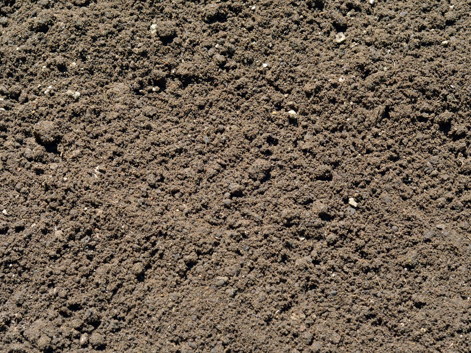 A close-up of a pile of dirt in a field. A close-up of a pile of dirt in a field.