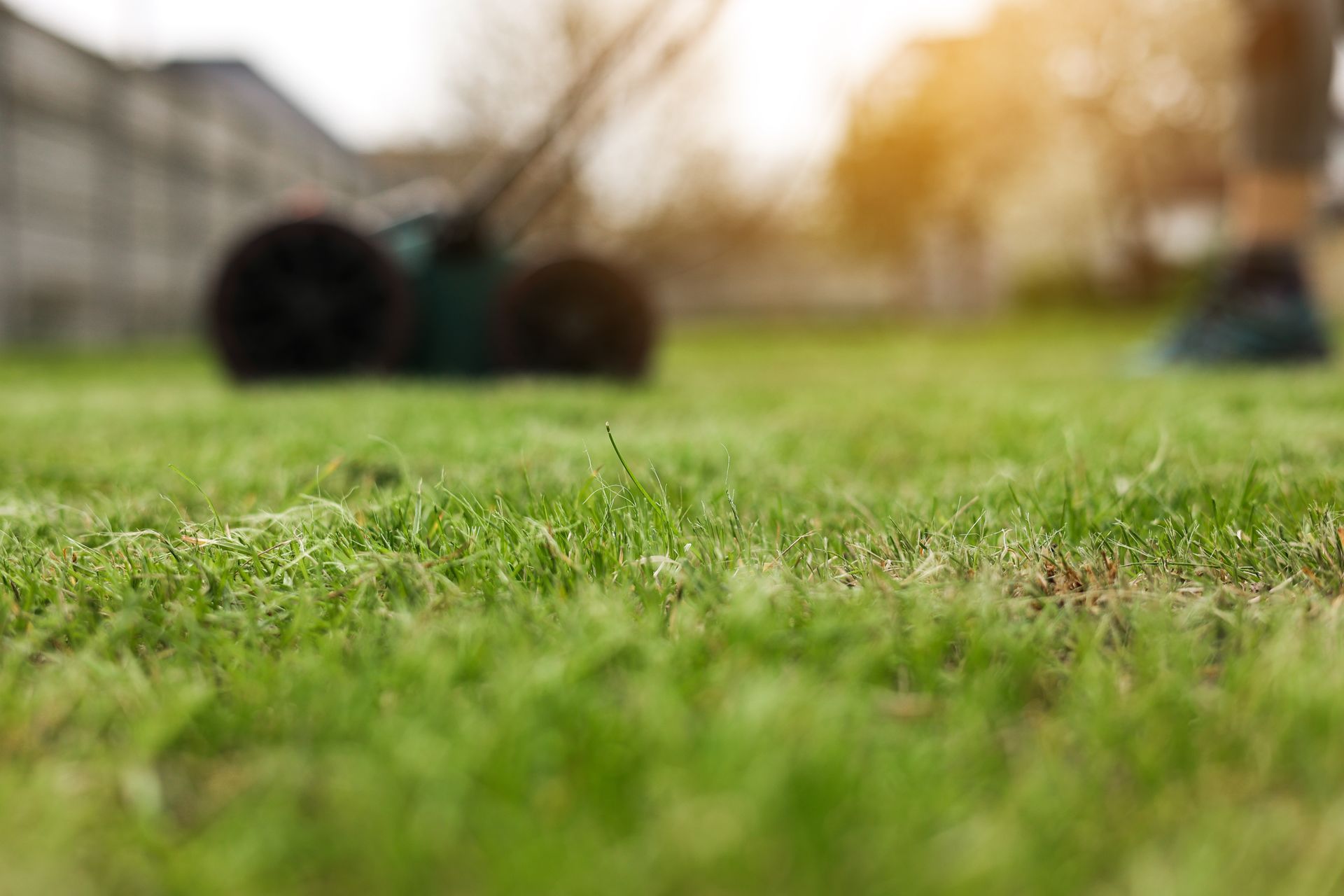 Freshly cut lawn with mower in background during landscaping work.