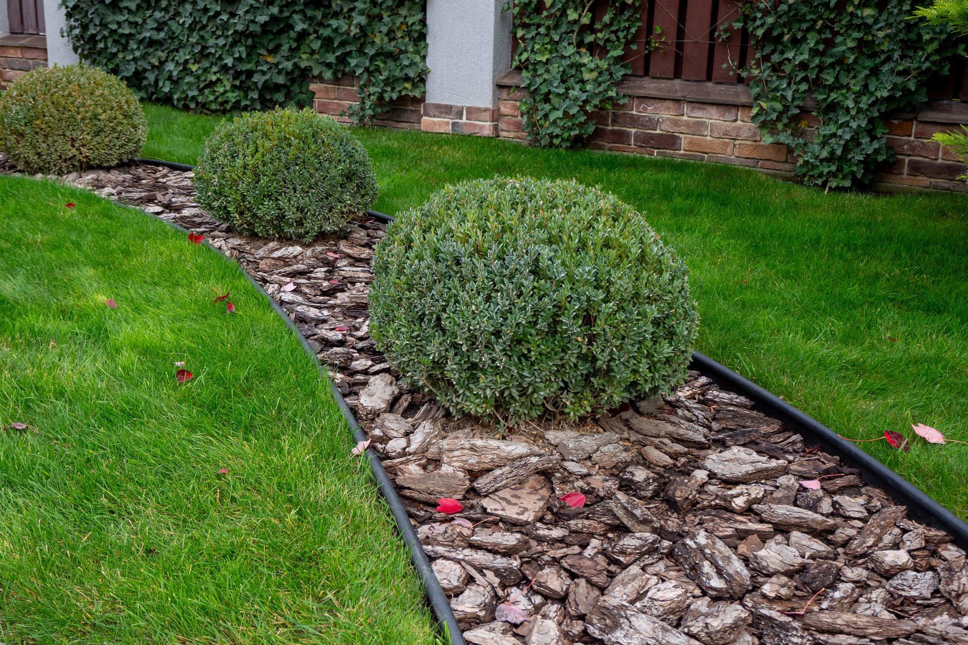 Decorative garden border with trimmed bushes.