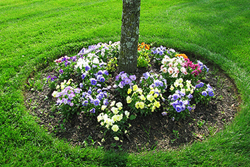 Lovely Flower Bed Tree — Columbus, NJ — G & G Landscaping Construction, Inc. Lovely Flower Bed Tree — Columbus, NJ — G & G Landscaping Construction, Inc.