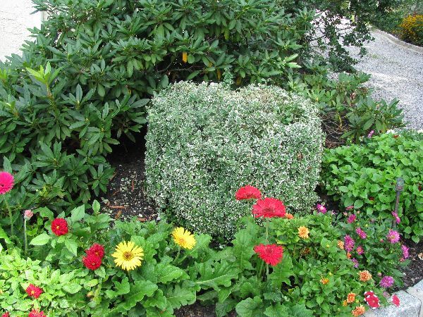 Garden Filled With Flower — Columbus, NJ — G & G Landscaping Construction, Inc.