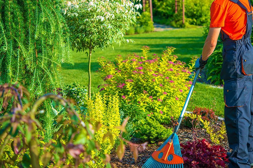 Man Is Raking The Ground — Columbus, NJ — G & G Landscaping Construction, Inc. Man Is Raking The Ground — Columbus, NJ — G & G Landscaping Construction, Inc.