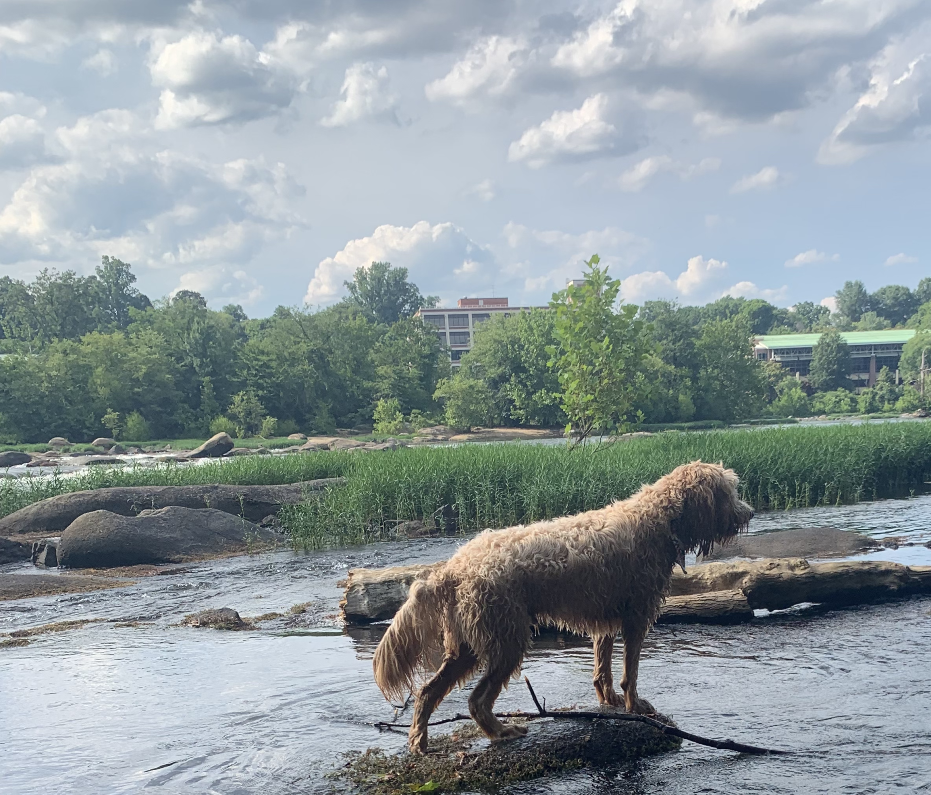 JAMES RIVER