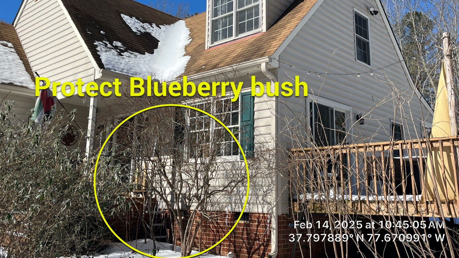 Image of client's house, with a circle around blueberry tree he requested RETEX protect during his roof installation project.